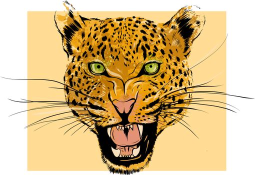 Leopard Portrait. Angry wild big cat head. Cute face of African Aggressive predator with bared teeth in cartoon style, t-shirt print design