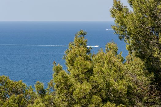 Panorama of the bay Paguera photographed from the mountain in Costa de la Calma.