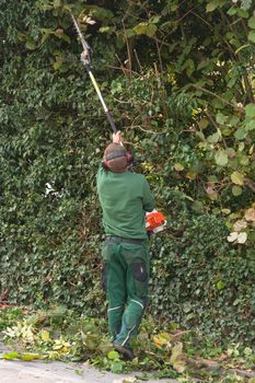 Panoramic image from cutting a hedge with a hedge trimmer motor.