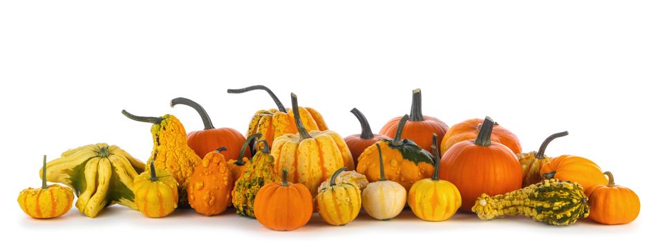 Assortiment of autumn harvested pumpkins in a heap isolated on white background , Halloween holiday concept