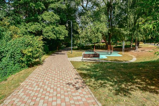 Summer scene, an avenue lined with trees in park in Ilawa  Poland