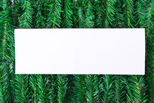 Happy New Year and Christmas day, top view flat lay composition decoration branches tree, white square on white background with copy space for your text