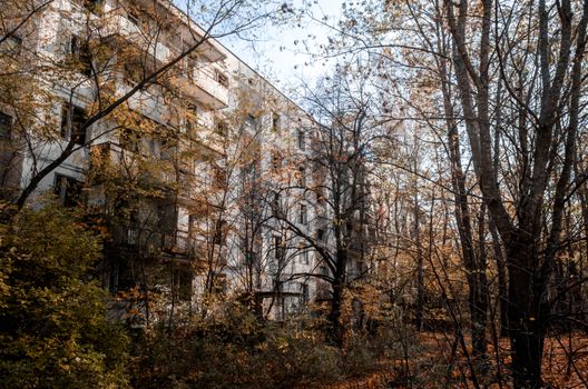 abandoned house among trees in the infected city of Chernobyl