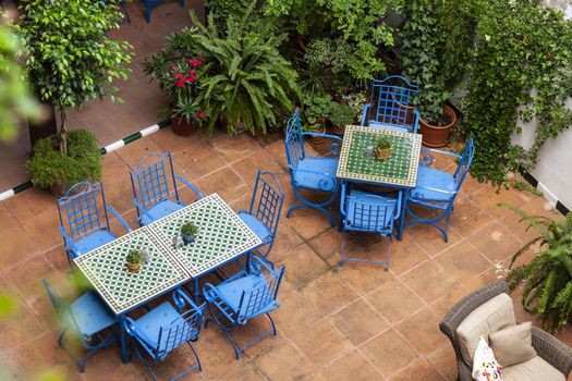 Colorful patio design with blue chairs and green plants