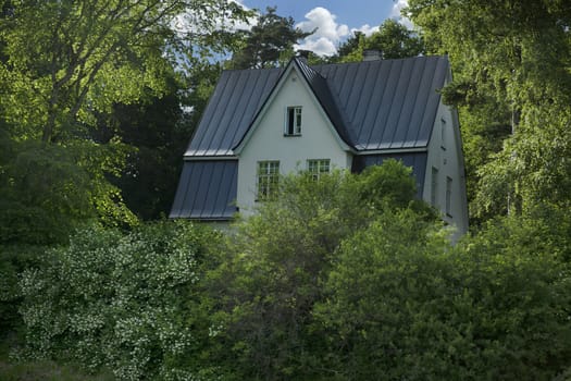 Summer wooden house surrounded by trees