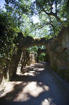 Magical summer path. Park. Beautiful scene sunlit old forest with sun rays, shadows and lianas.