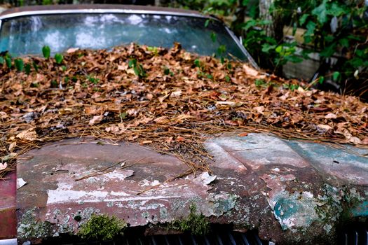 Old Rusty Hood Covered with debris in a junkyard