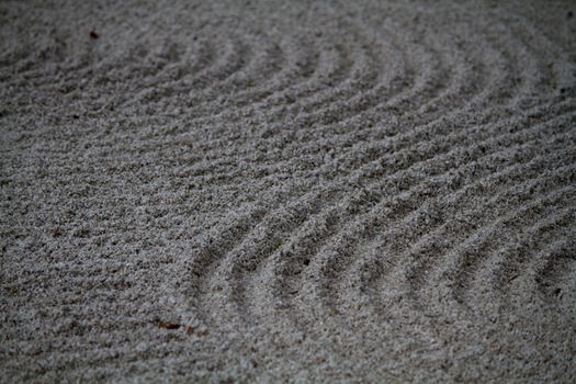 very beautiful Zen garden at the Botanical Garden of Geneva in Switzerland and trees