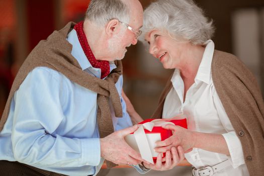 Senior Couple Exchanging Christmas Gift and smiling