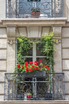discovery of Paris and the banks of the Seine in summer, France