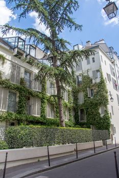 discovery of Paris and the banks of the Seine in summer, France