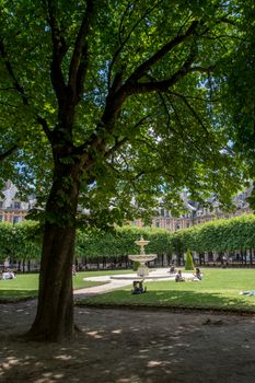 discovery of Paris and the banks of the Seine in summer, France