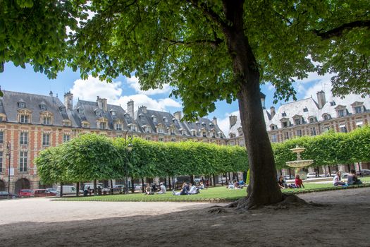 discovery of Paris and the banks of the Seine in summer, France