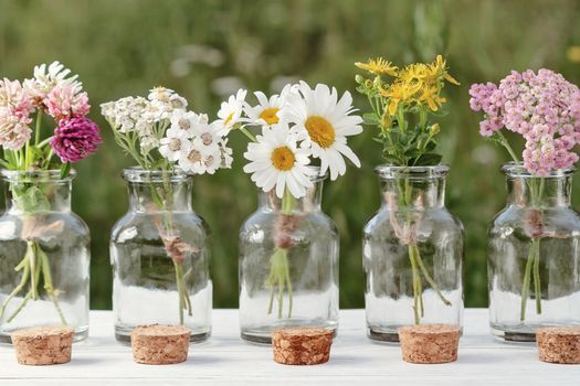 Several small bottles with blooming medicinal herbs, homeopathy or alternative medicine concept.