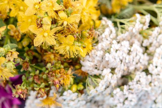 Bundles of medicinal herbs close up background, alternative medicine and herbal treatment concept.