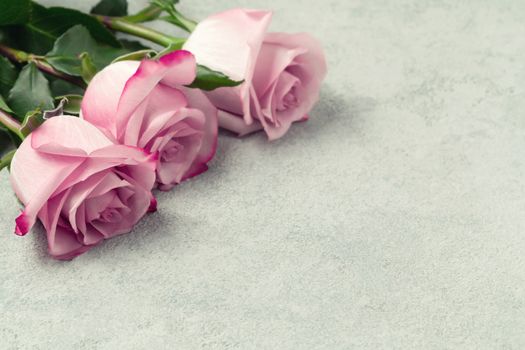 Flower arrangement - a bouquet of pink roses on a concrete surface, template for design or greeting card, place for text, copy space.