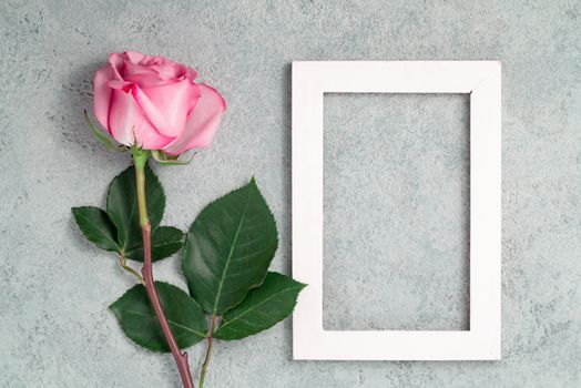 One pink rose and white wooden frame on a concrete surface, template for design or greeting card, top view, flat lay.