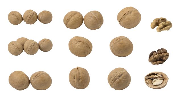 Set of walnuts isolated on a white background.