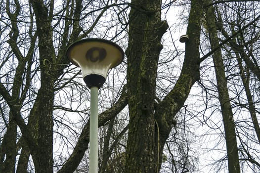 Street lamp, trees and sky