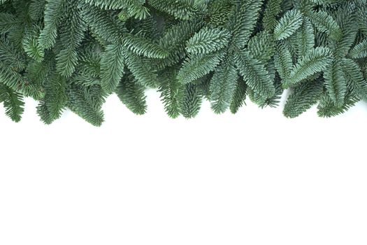 Traditional green christmas tree noble fir border frame isolated on white background copy space for text