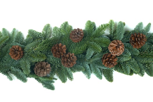 Christmas Border frame of natural noble fir tree branches and cones isolated on white background