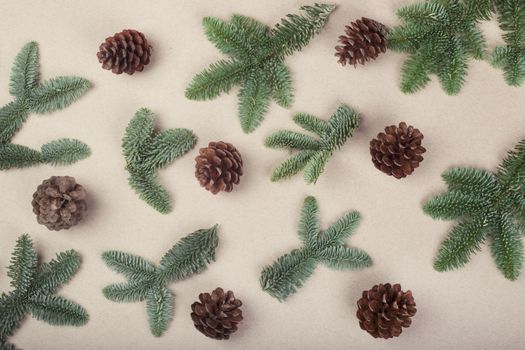 Christmas card light background with noble fir tree branches and pine cones