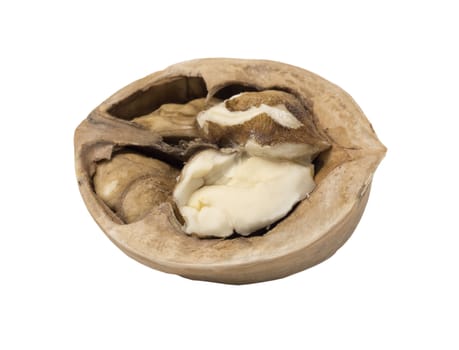 Walnut isolated. Nut kernel on white background. Close up view.