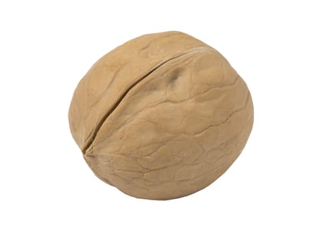 Walnut isolated on a white background. Close up view.