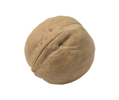Walnut isolated on a white background. Close up view.