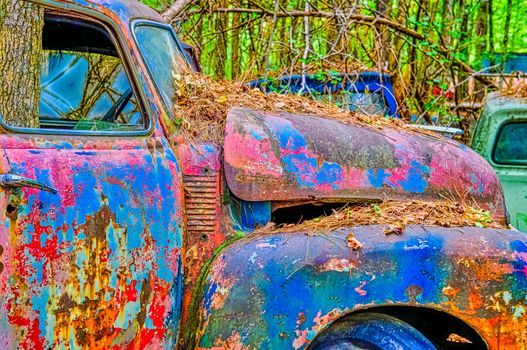 Many Coats of Paint on an Old Truck