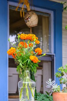 Orange Mums on a Porch in a Glass Jar