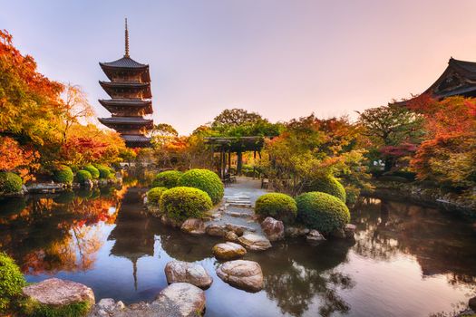 Ancient pagoda Toji temple in autumn garden, Kyoto, Japan. Tallest wooden pagoda in Japan and Unesco world heritage site.