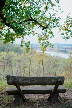 Bench in autumn park. Autumn landscape. Viewpoint