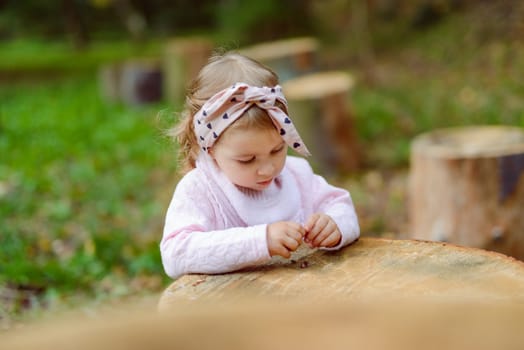 Beautiful little girl playing in the park on a sunny day. Autumn day