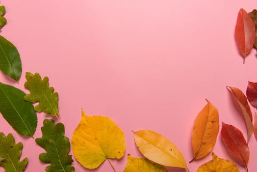 Background group autumn orange, green, yellow and brown leaves. with the heart shape cut out in the middle on pink background. Studio shoot. View from above. Horizontal orientation. Copy space.