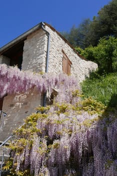 Walk around Forcalquier in the Alpes de Haute Provence, France