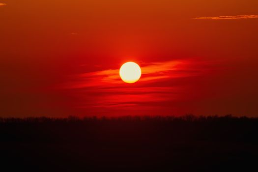 Sunset over the Forest in Bulgaria