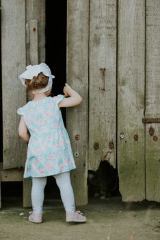 Curiuos child farmer playing in barn with cat in rustic poultry house in countryside farmyard farming lifestyle.