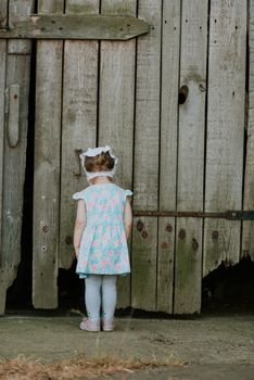 Curiuos child farmer playing in barn with cat in rustic poultry house in countryside farmyard farming lifestyle.