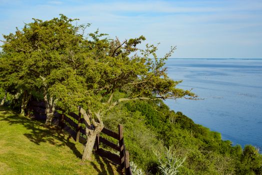 Cliff line at National Wolinski Park in Poland. Trees on meadow in background. Wooden fence. Sunlight.