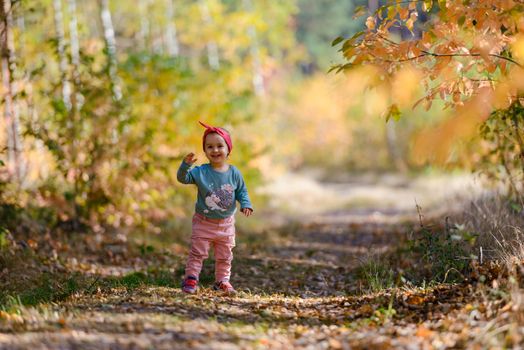 Adorable girl having fun on beautiful autumn day.