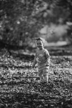 Adorable girl having fun on beautiful autumn day.