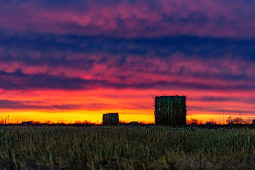 Field with mowed dry grass on the background of an amazing sunset. The grass is collected in haystacks.