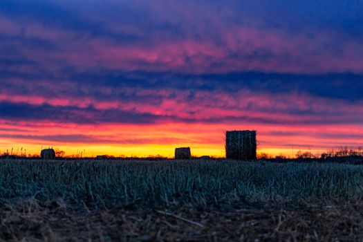 Field with mowed dry grass on the background of an amazing sunset. The grass is collected in haystacks.