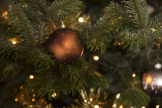 golden christmas ball in the tree as a christmas card during the december season
