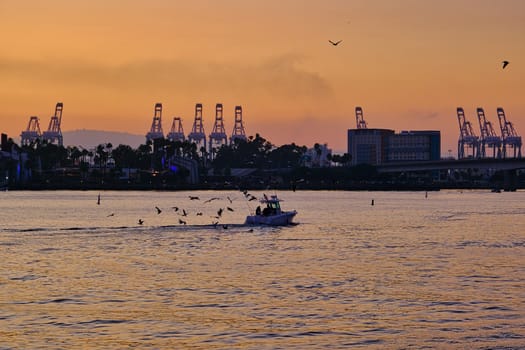 Fishing Boat Returning at Sunset with cranes in background