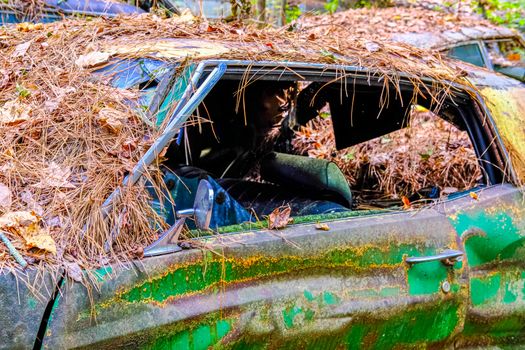 Wrecked Green Car Covered with Straw in  a Junkyard
