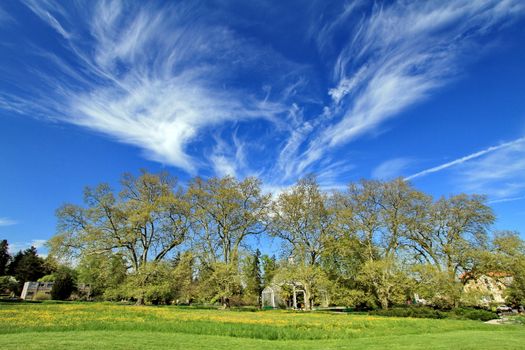 beautiful view of a garden in Geneva city in Switzerland and sky blue