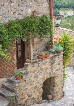 discovery of the eastern Pyrenes, its fauna and flora, region of France