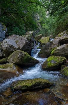 discovery of the eastern Pyrenes, its fauna and flora, region of France